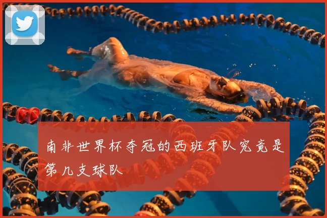 南非世界杯夺冠的西班牙队究竟是第几支球队