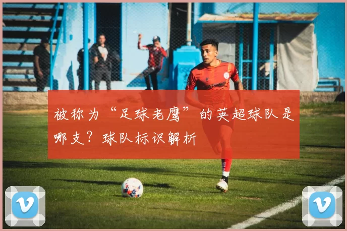 被称为“足球老鹰”的英超球队是哪支？球队标识解析