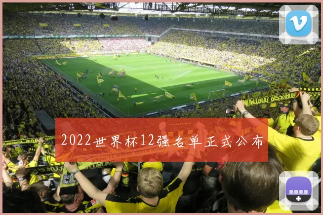 2022世界杯12强名单正式公布