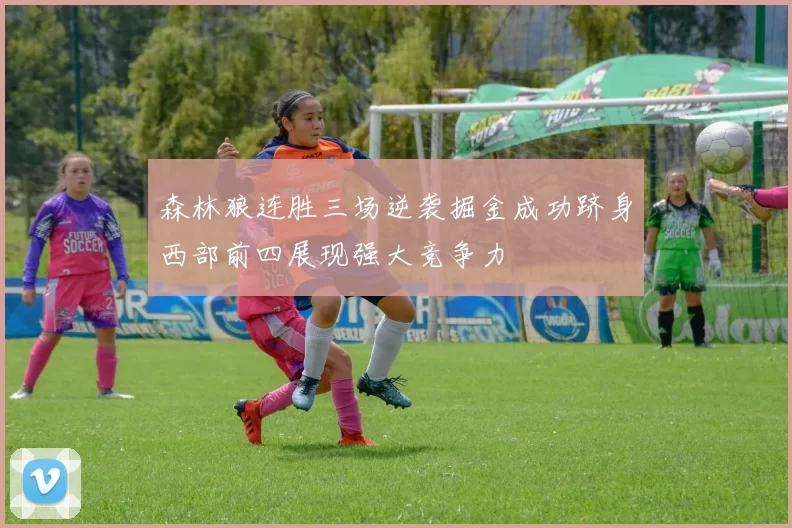 森林狼连胜三场逆袭掘金成功跻身西部前四展现强大竞争力