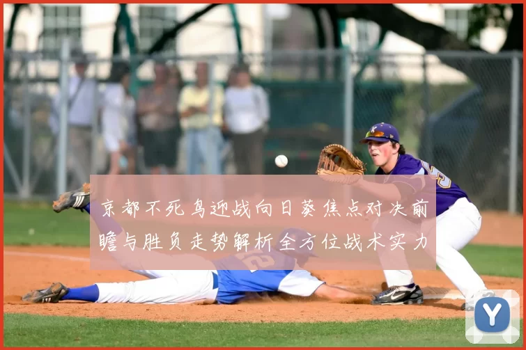 京都不死鸟迎战向日葵焦点对决前瞻与胜负走势解析全方位战术实力对比