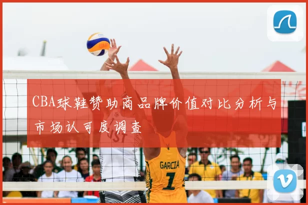 CBA球鞋赞助商品牌价值对比分析与市场认可度调查