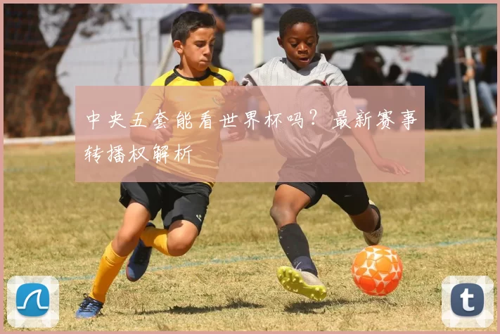 中央五套能看世界杯吗？最新赛事转播权解析