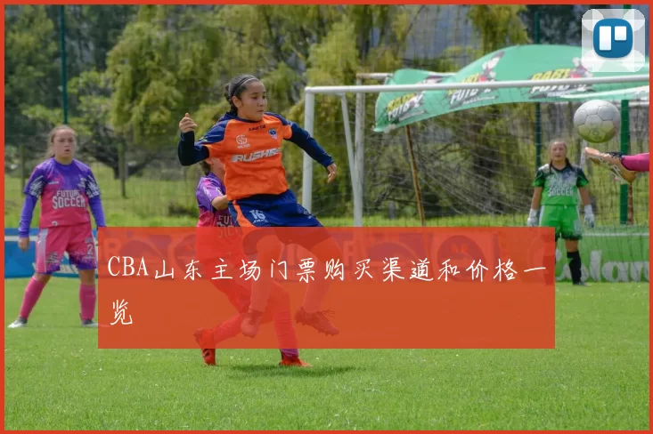 CBA山东主场门票购买渠道和价格一览