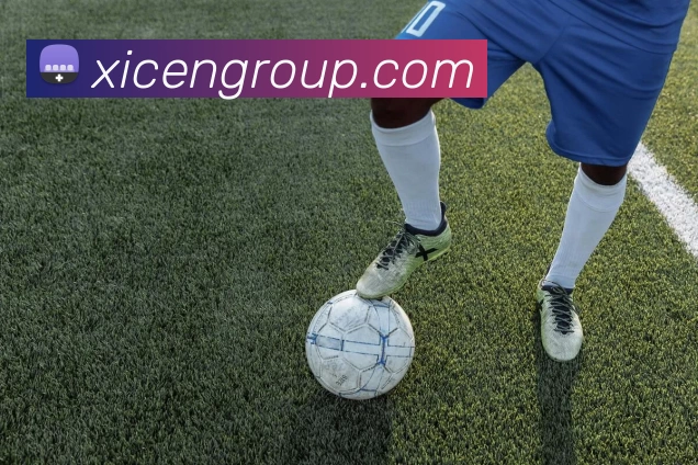 多媒体互动体验